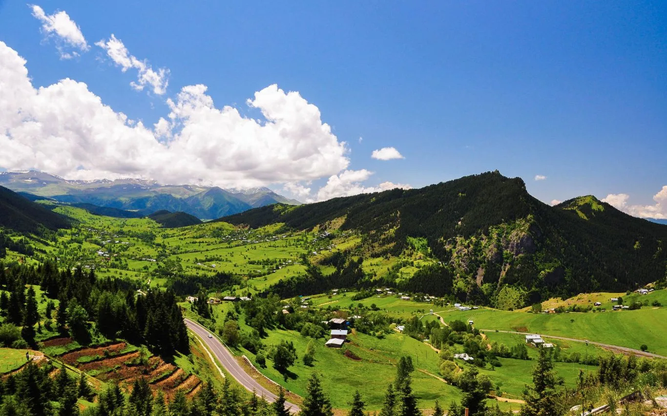 artvin